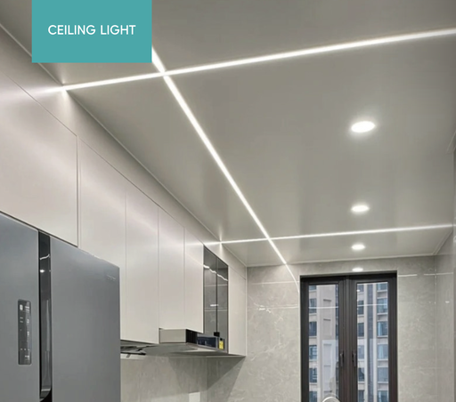 5CCT Ceiling Light
