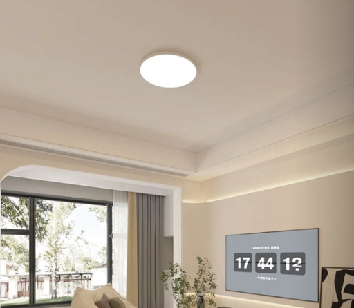 Ceiling Light