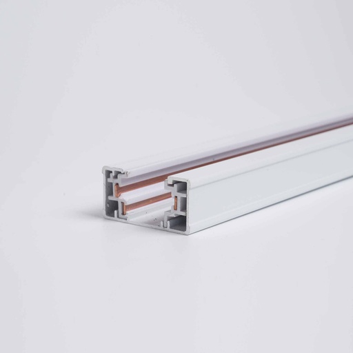 110v Track